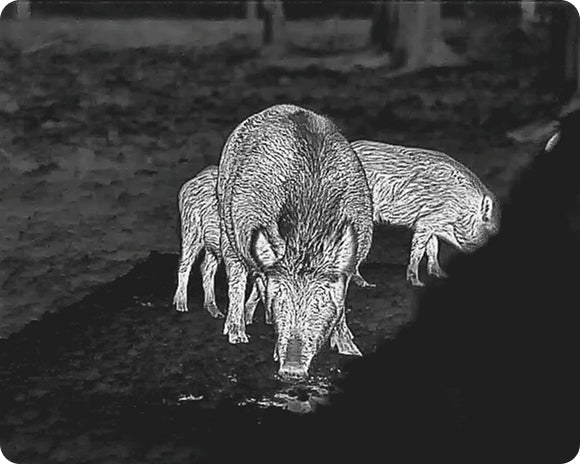 Unboxing the brand new Zentron USA Q50 thermal scope